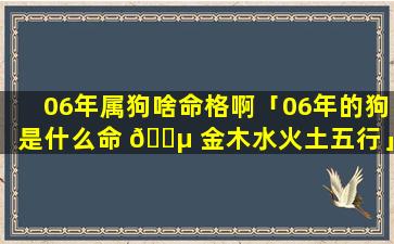 06年属狗啥命格啊「06年的狗是什么命 🐵 金木水火土五行」